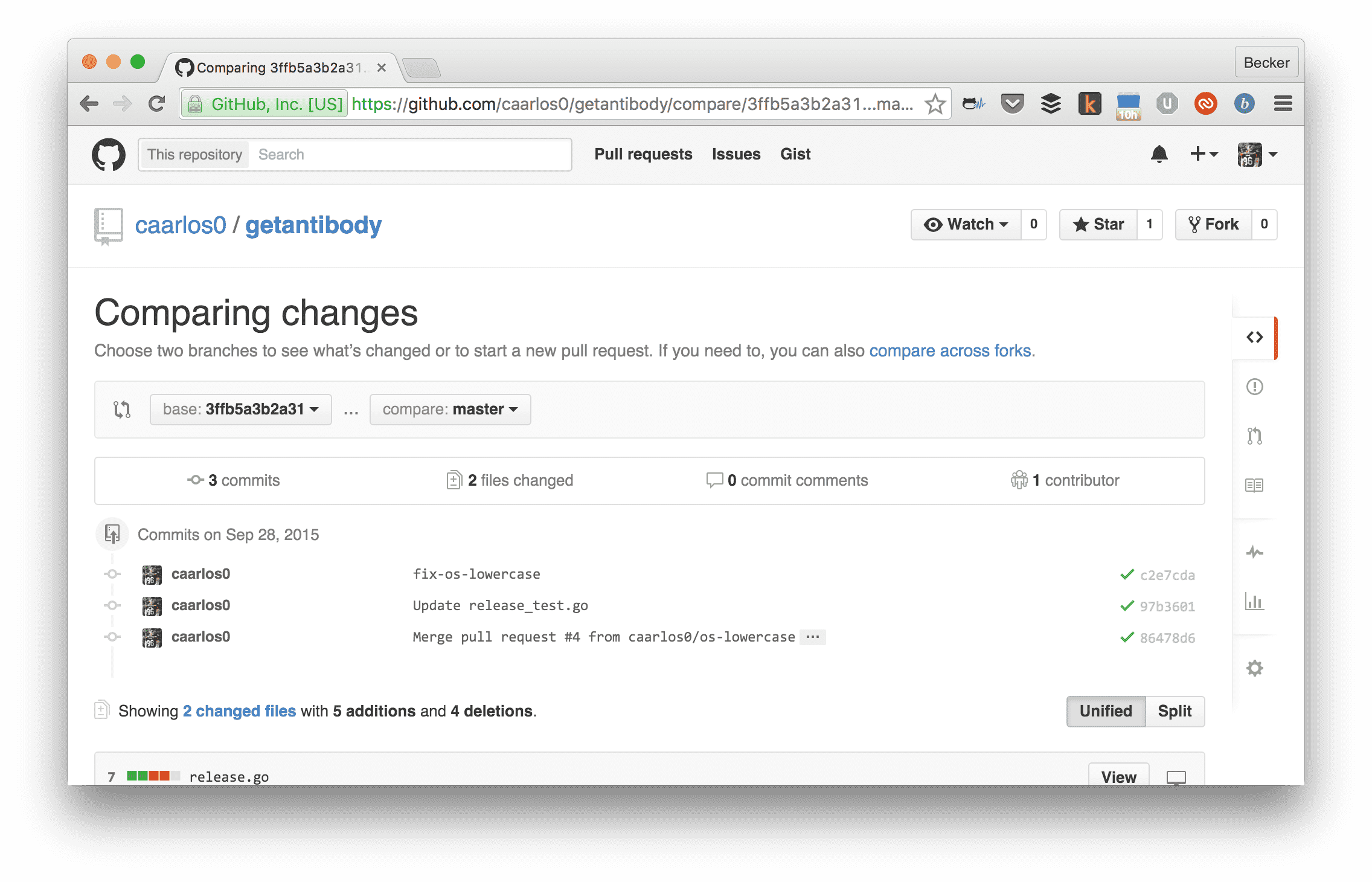 GitHub interface.