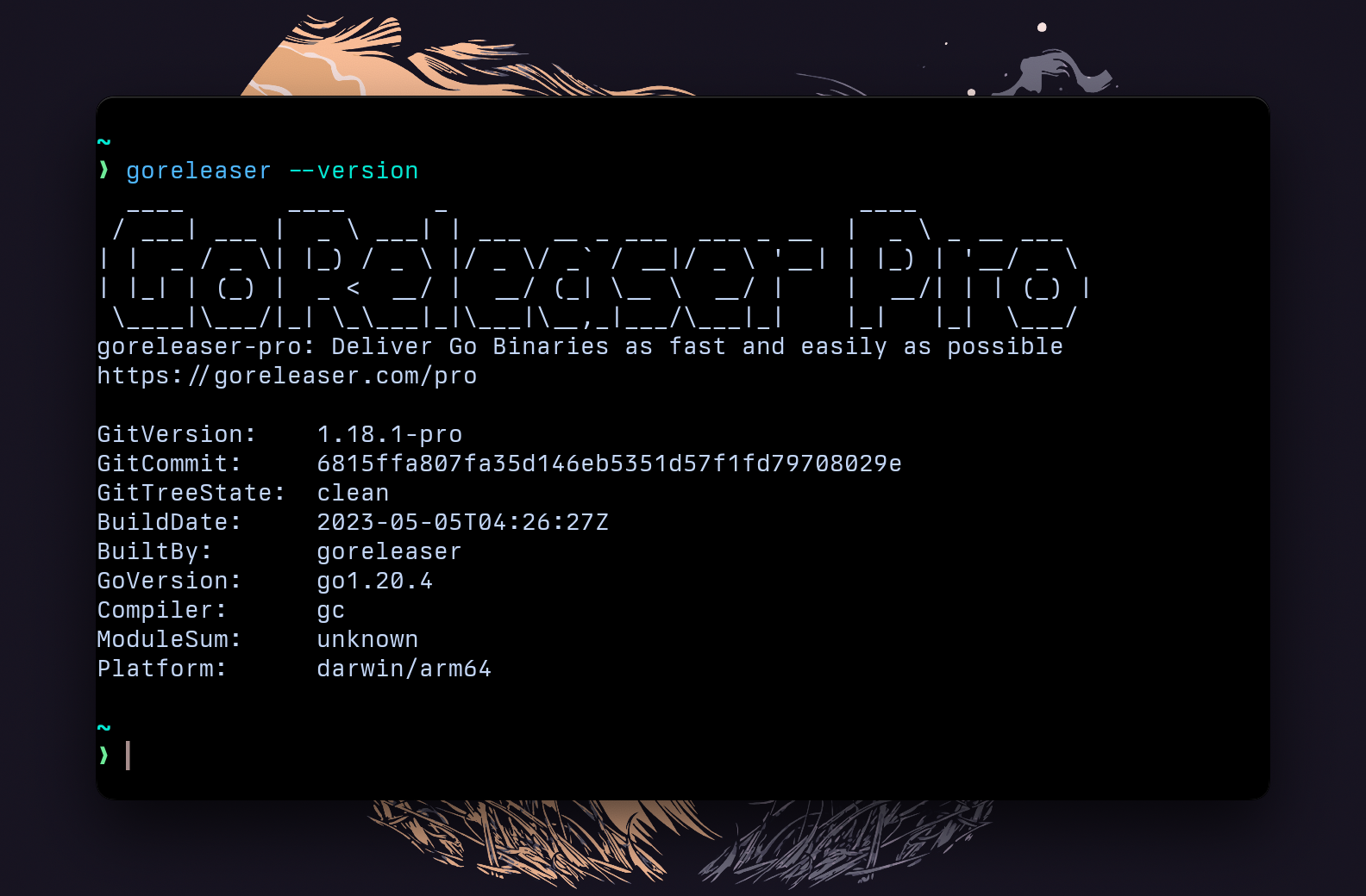 new goreleaser -v output (pro)