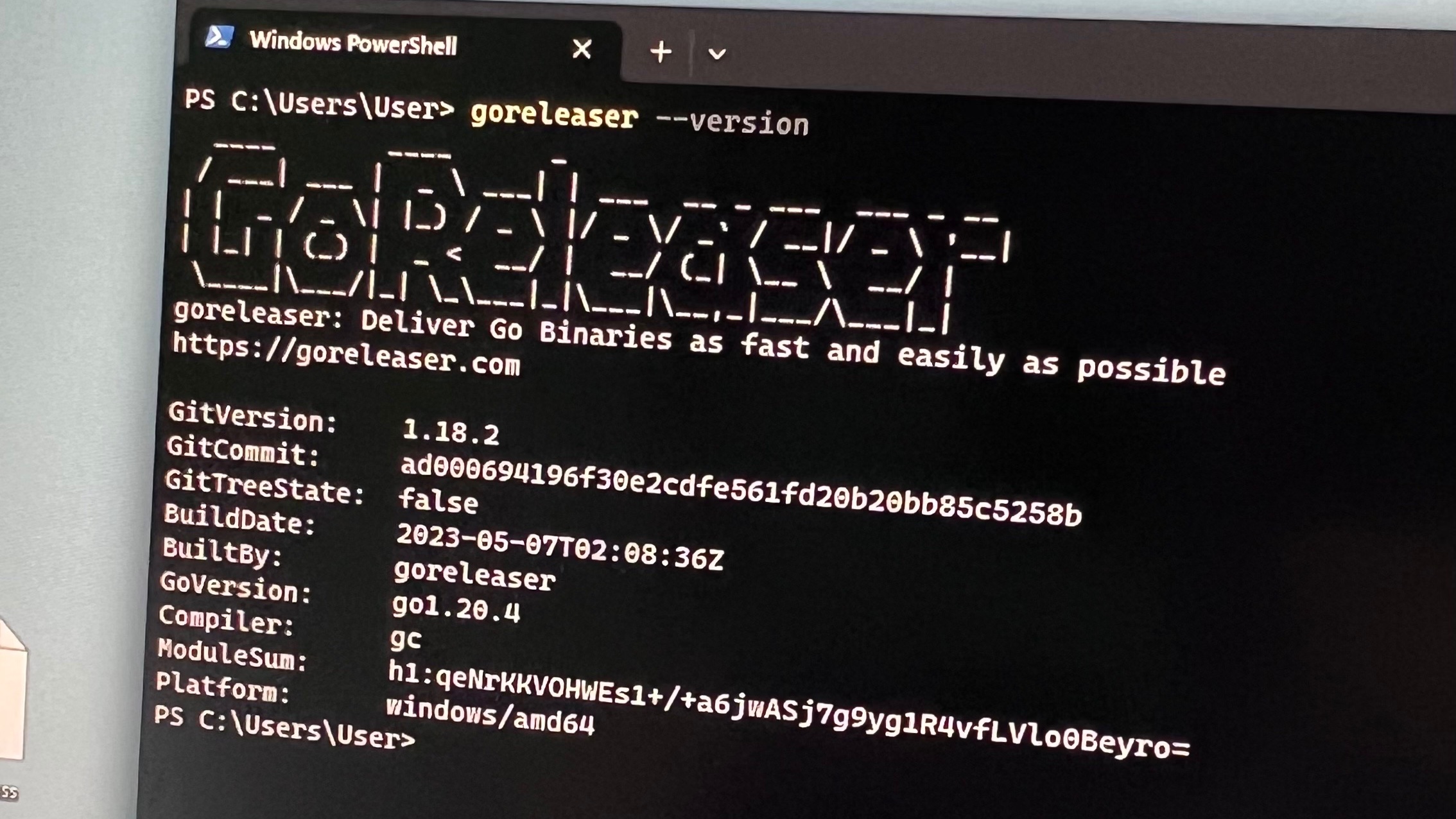 winget-installed goreleaser on windows