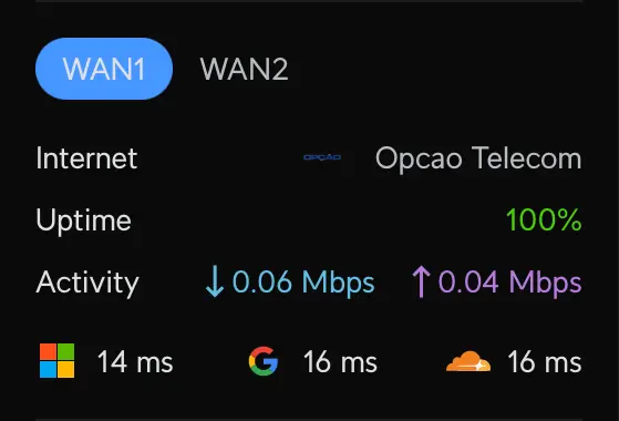WAN1.